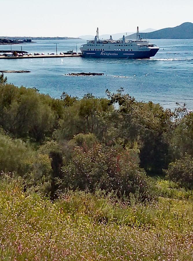 Вилла Lefteris Beautiful Aegina Экстерьер фото